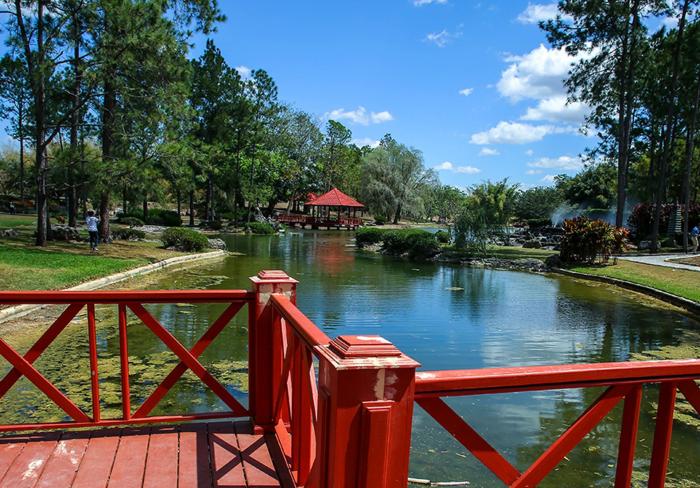 Explora el corazón verde de La Habana en un viaje inolvidable