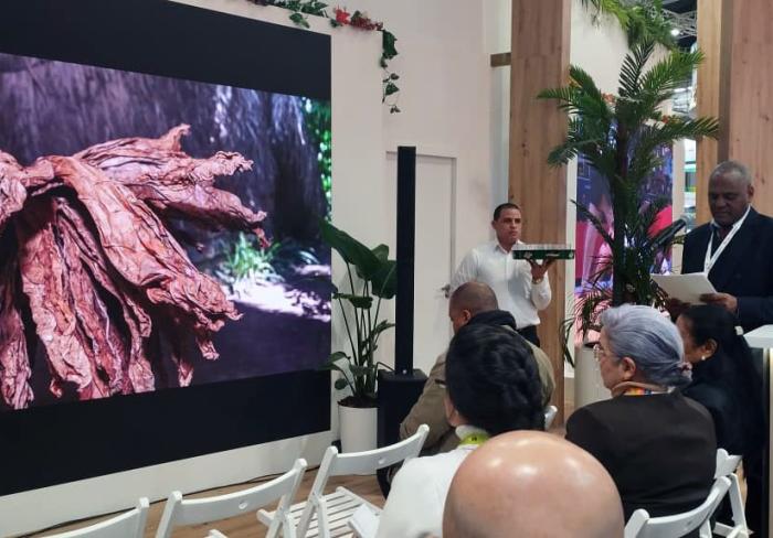 FITUR 2026: El occidente de Cuba, entre naturaleza, playas y ciudades emblemáticas