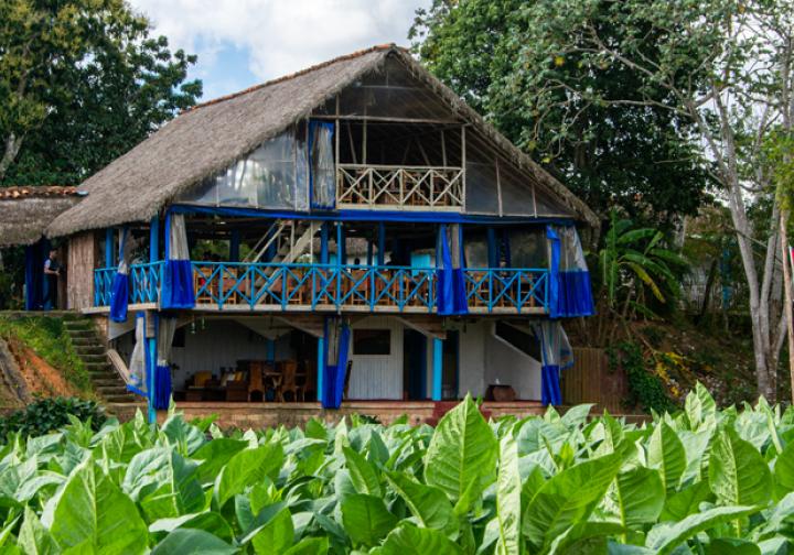 Pinar del Río potencia la primera red de agroturismo en Cuba