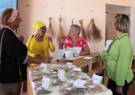 Botica Remedios del Cimarrón en Trinidad pondera la medicina natural cubana