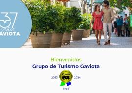 Grupo Gaviota lanza nuevo sitio web institucional