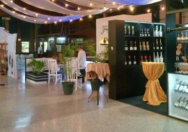 Fiesta Internacional del Vino