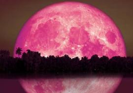Luna de Fresa
