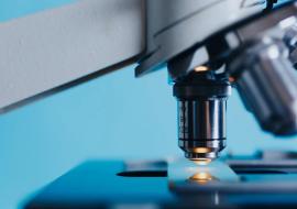 Biomanufacturing 2025 
