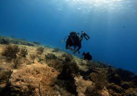 Cayo Santa María, buceo en el inconmensurable abismo azul del atlántico cubano