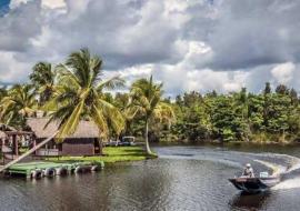 Ciénaga de Zapata, Cuba