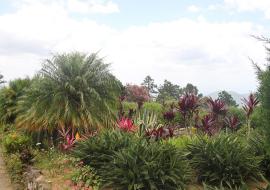 Jardín Ave del Paraíso, una aventura en los cielos de Santiago de Cuba