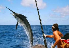 Torneo de Pesca Big Game Trolling