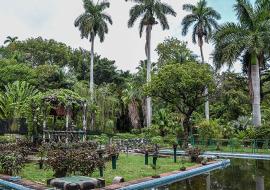 Quinta de los Molinos presenta plan de sostenibilidad