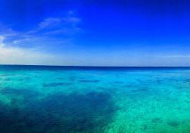 Punta Perdiz