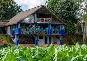 Pinar del Río potencia la primera red de agroturismo en Cuba