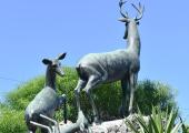 Zoológico de 26, un lugar tradicional de La Habana