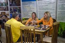 Grupo Empresarial Tabacuba