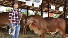 Sorpresas y buenos momentos amenizan Fiagrop 2019