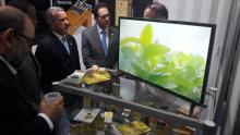 Cuba en Expocomer 2019: un pabellón de oportunidades