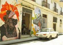 Jibaro Habana