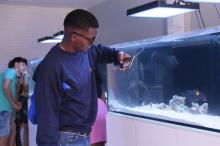 Fascinante miniacuario en Trinidad cautiva a turistas