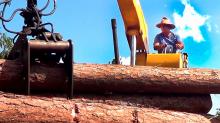 Empresa Agroforestal Matanzas tiene un mercado seguro en el turismo