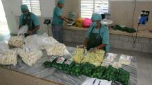 Polo Exportador e Importador de Cienfuegos con expectativas para Feria Exposur 2023
