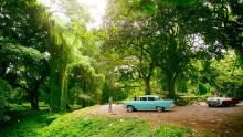 Bosque de La Habana impulsa turismo de naturaleza en Cuba