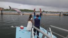 Jardines del Rey, listo para temporada alta del turismo en Cuba