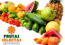 Frutas Selectas