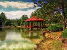 Jardín Botánico Nacional