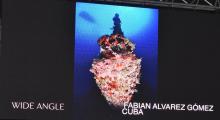 Cuba gana un título en el Campeonato Mundial de Fotografía Subacuática