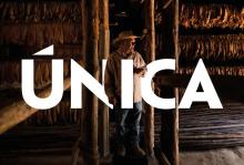 Cuba Única