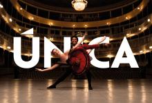 Campaña Cuba Única