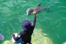 Delfinario de Cayo Coco