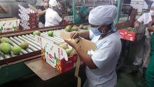 Cienfuegos busca inversión extranjera en la Feria Internacional Exposur 2023