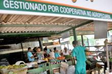 FGNE (Foto Juventud Rebelde)