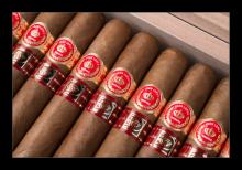 Habanos