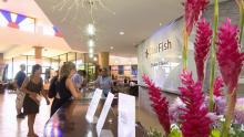 Varadero reporta buen flujo de turistas