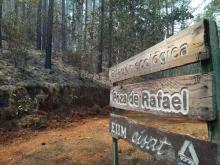 Poza de Rafael