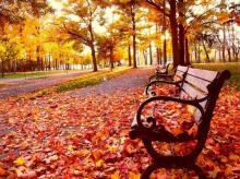 “La temporada ciclónica del Atlántico y el otoño”