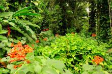 Turismo de naturaleza al centro de Cuba