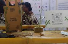 Promueven en Cuba uso del bambú como recurso natural