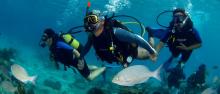 Buceo en Varadero foto Varadero Diving Tour