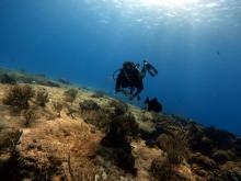 Cayo Santa María, buceo en el inconmensurable abismo azul del atlántico cubano