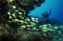 Cayo Levisa Foto Beyond The Ordinary