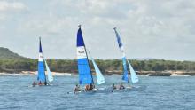 Empresa de Marinas y Náuticas Marlin con amplio plan de verano