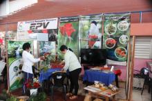 ExpoYayabo 2024 muestra las potencialidades de Sancti Spíritus