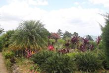 Jardín Ave del Paraíso, una aventura en los cielos de Santiago de Cuba