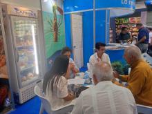 CARIBEX presenta sus productos en Alimentos Cuba 2024