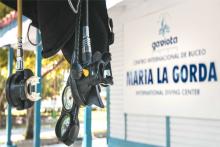 Convocan a edición 12 del Concurso de Fotografía Subacuática IMASUB 2024