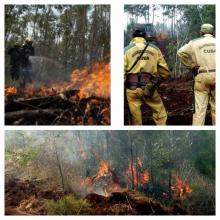 Incendio en Pinares de Mayarí, Cuba