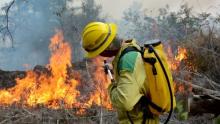 Incendio forestal de grandes proporciones en Los Palacios, Pinar del Río