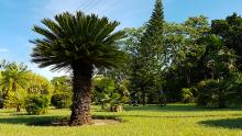 Jardín Botánico de Las Tunas promueve el ecoturismo